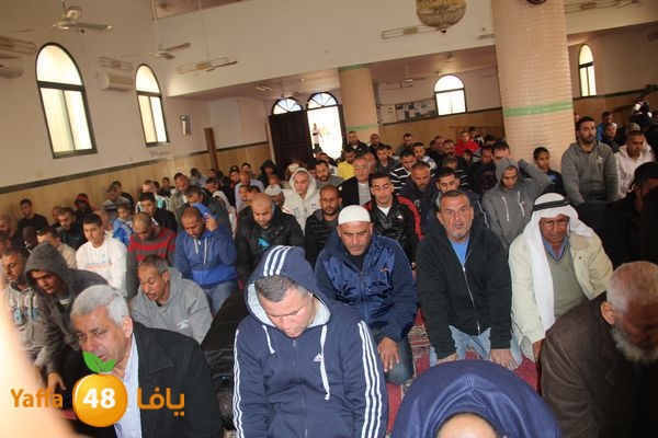 jarhoshuy msajed 0110 (15).JPG